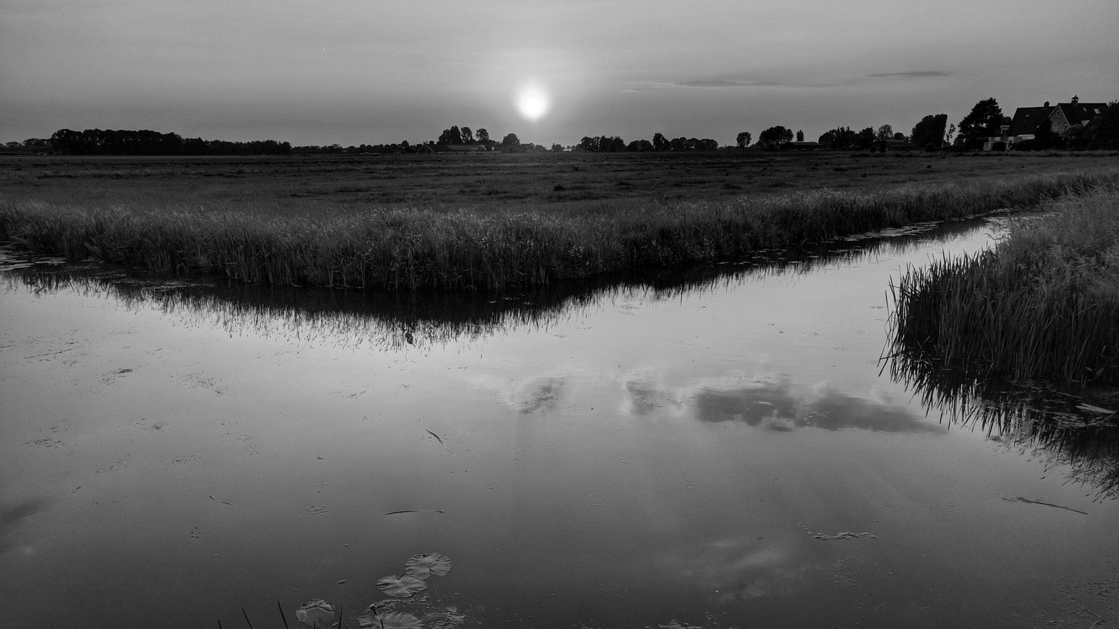 Landschap rond Apeldoorn dat samenwerking tussen mens, dier en omgeving uitdraagt